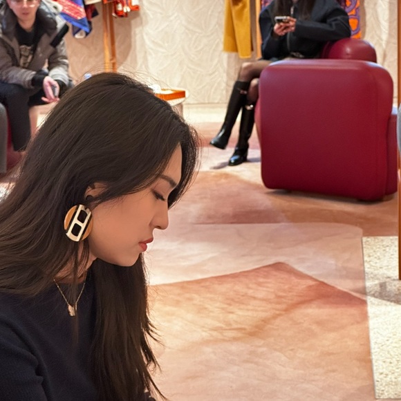 Hermes H Equipe Earrings lacquered NWT Sable color hard to find! - Picture 7 of 7